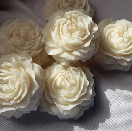 🌹 Rose plate Fleurie Parfumée — Cadeau Invité